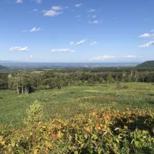 道の駅 ガーデンスパ十勝川温泉