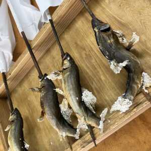 道の駅 古今伝授の里やまと