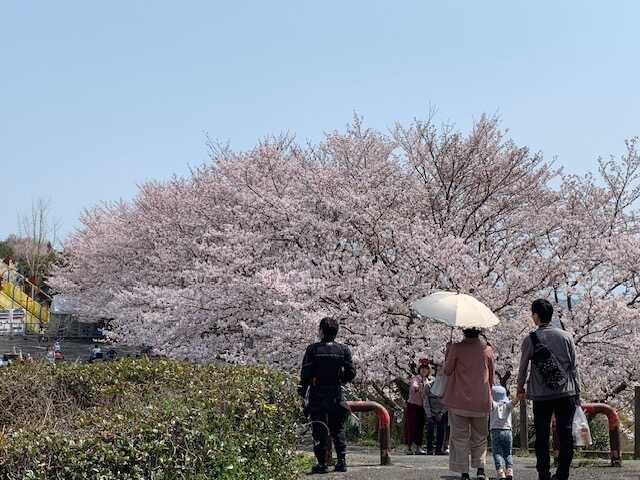 道の駅 一本松展望園