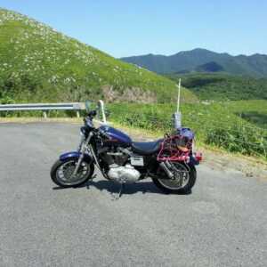 秋吉台カルストロード