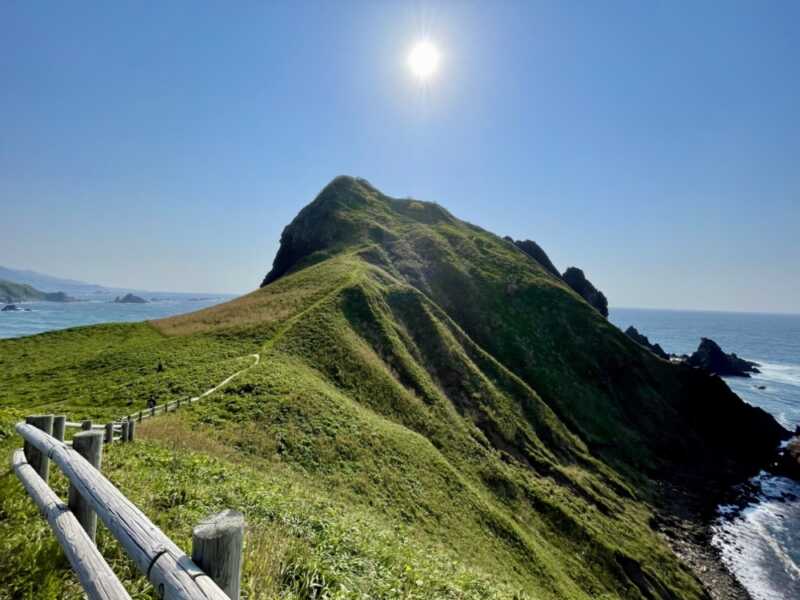 大野亀