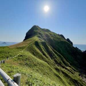 大野亀