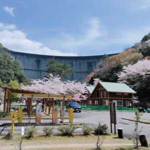 下北山スポーツ公園 きなりの郷