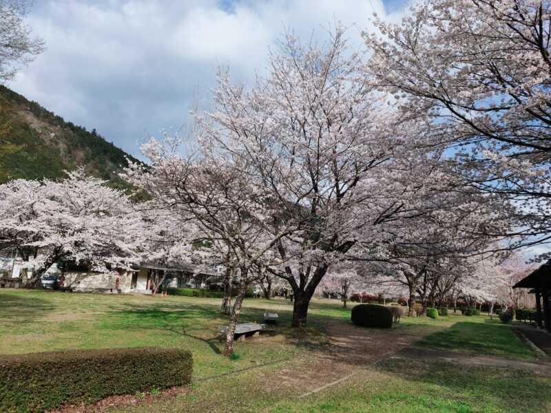 下北山スポーツ公園 きなりの郷