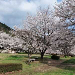 下北山スポーツ公園 きなりの郷