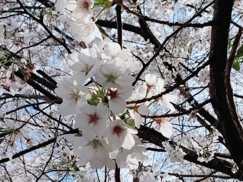 下北山スポーツ公園 きなりの郷