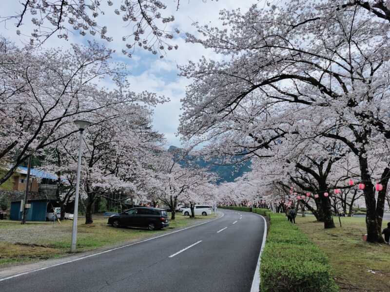 下北山スポーツ公園 きなりの郷