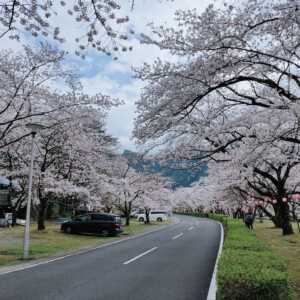 下北山スポーツ公園 きなりの郷