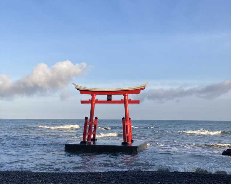 みさき台公園キャンプ場