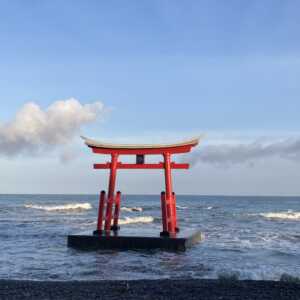 みさき台公園キャンプ場