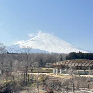 富士山樹空の森