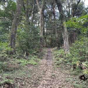 玉若酢命神社