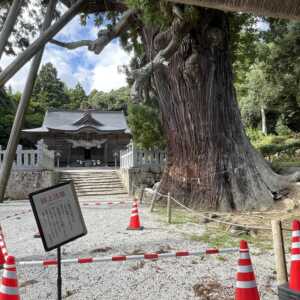 玉若酢命神社