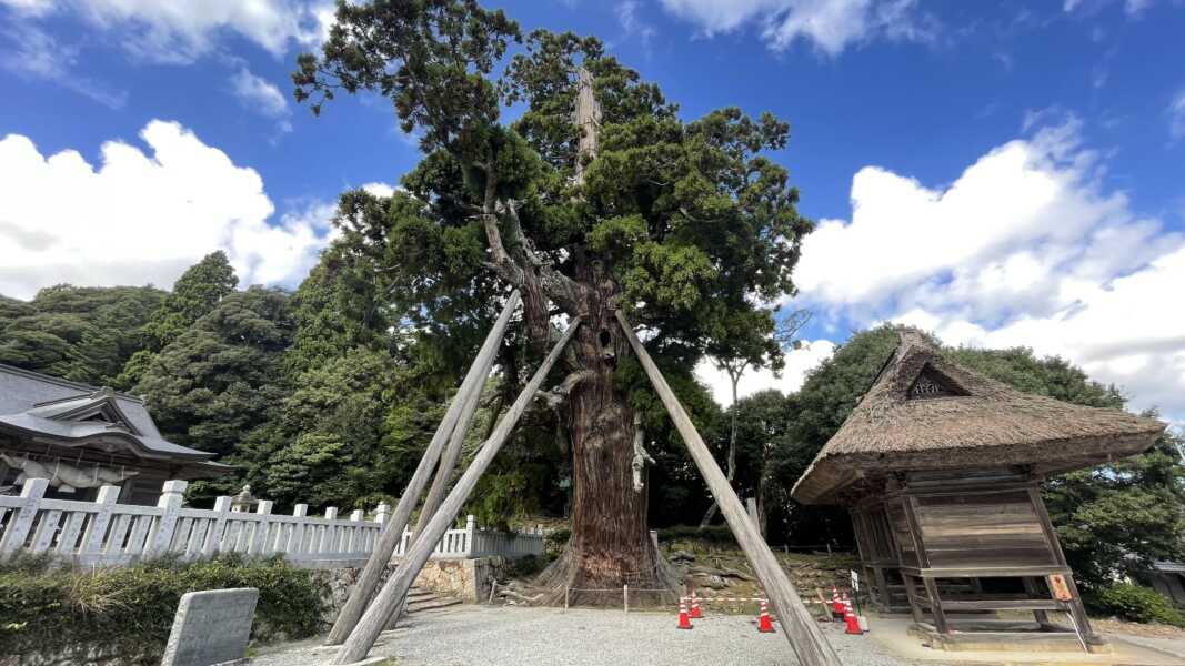 玉若酢命神社