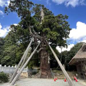 玉若酢命神社