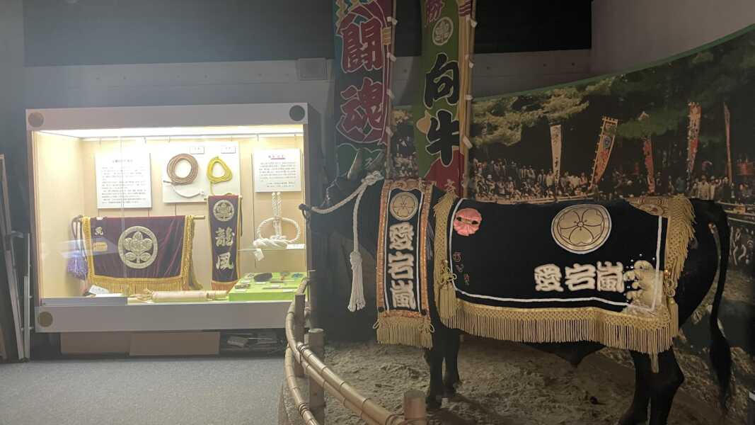 水若酢神社