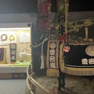 水若酢神社