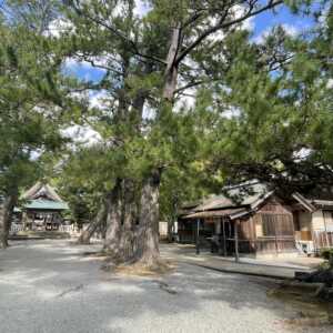 水若酢神社