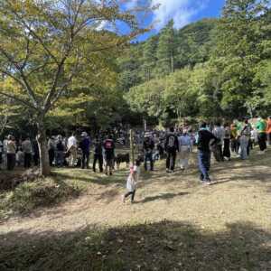 一夜ヶ嶽牛突き場