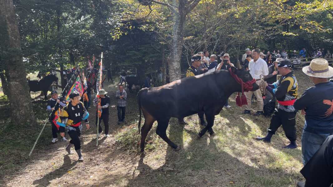 一夜ヶ嶽牛突き場