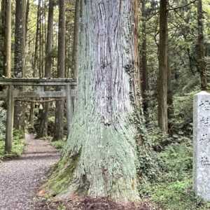 壇鏡の滝（壇鏡神社）