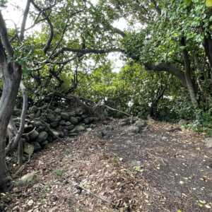 屋那の松原・舟小屋群