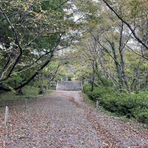 隠岐神社