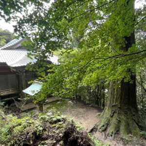 焼火神社