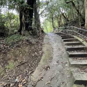 焼火神社