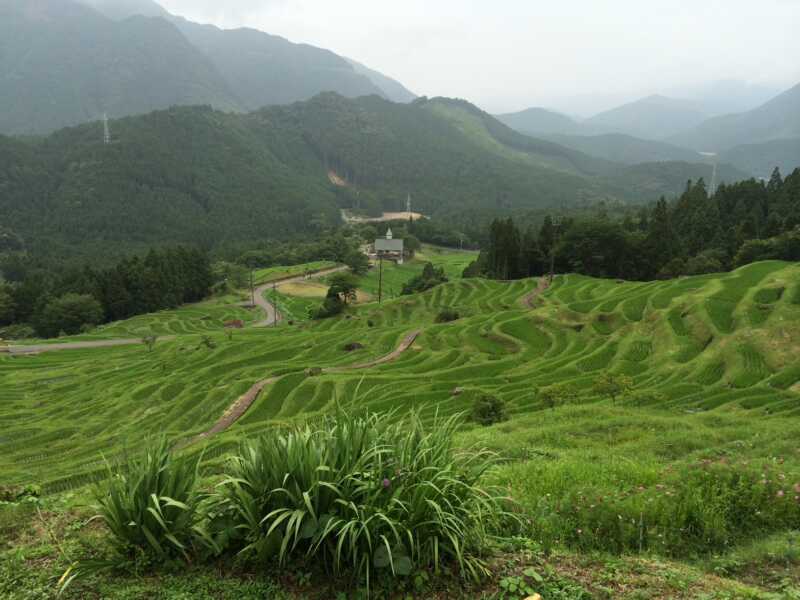 丸山千枚田