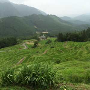 丸山千枚田