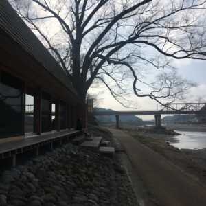 吉野杉の家