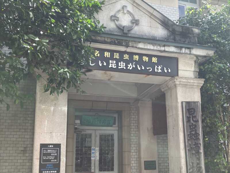名和昆虫博物館