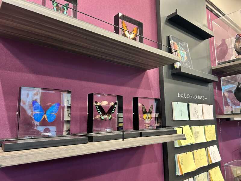 滋賀県立琵琶湖博物館