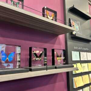 滋賀県立琵琶湖博物館