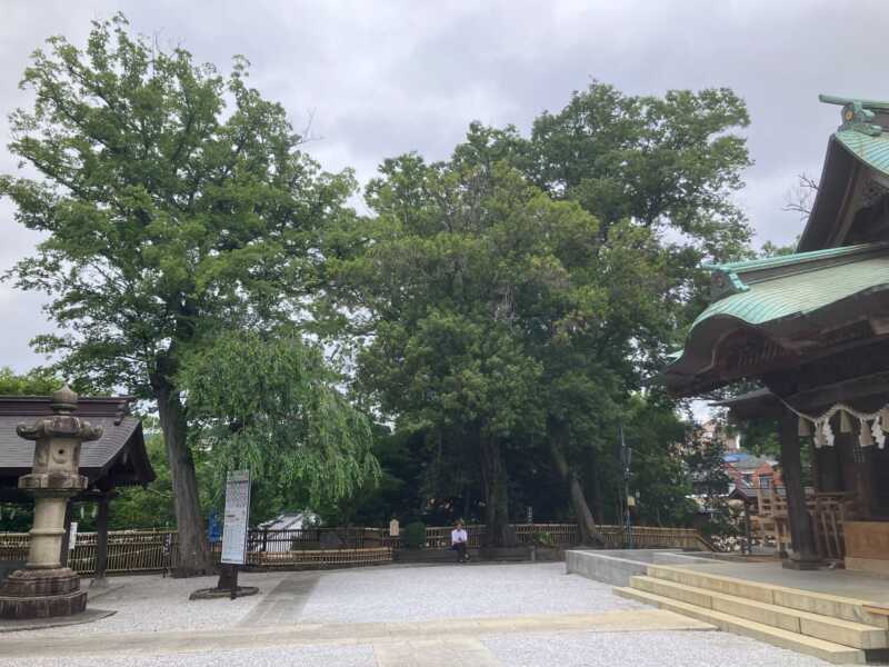 師岡熊野神社