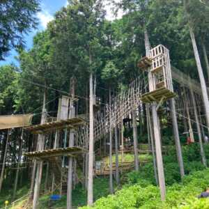 フォレストアドベンチャー三島