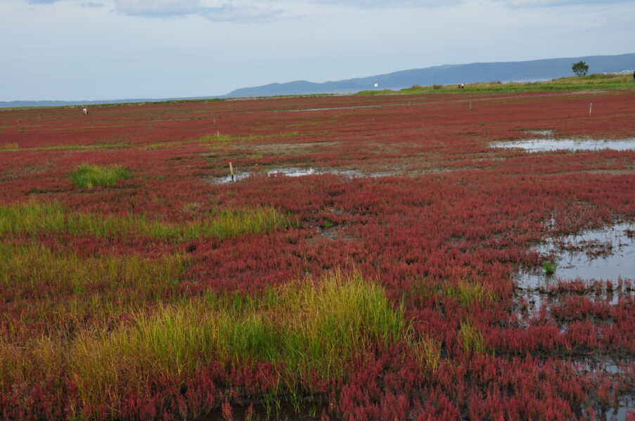 卯原内交通公園