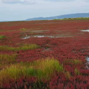 卯原内交通公園