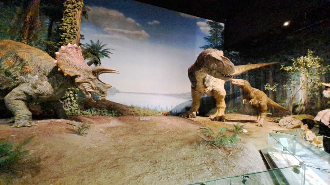 ミュージアムパーク 茨城県自然博物館