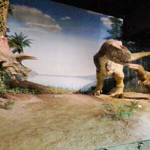 ミュージアムパーク 茨城県自然博物館