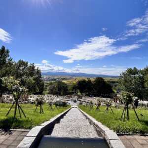 ローズガーデンちっぷべつ