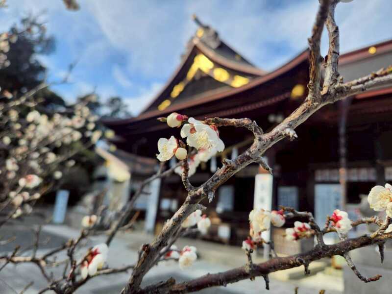 見付天神 矢奈比賣神社