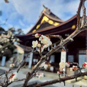 見付天神 矢奈比賣神社