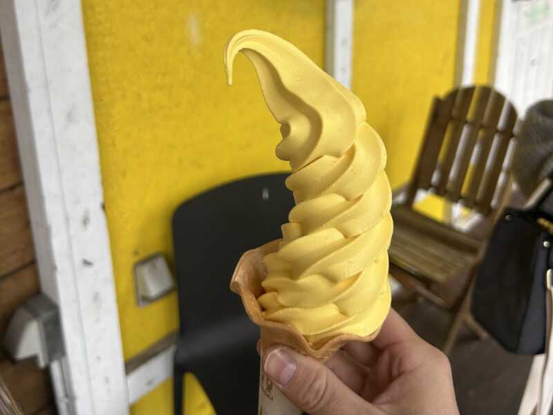 かぼちゃの王国