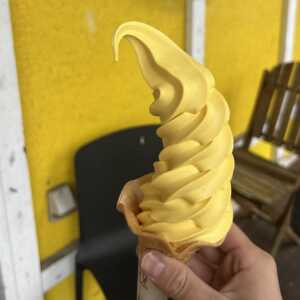 かぼちゃの王国