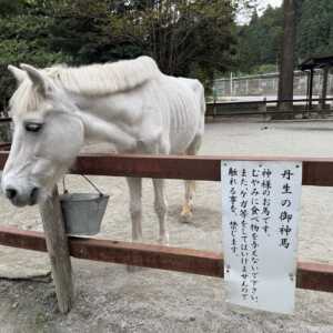 丹生川上神社下社