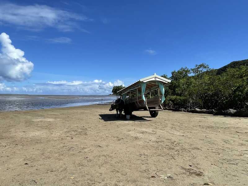旅人の駅　由布島