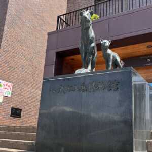 大町山岳博物館