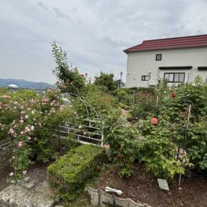 石田ローズガーデン